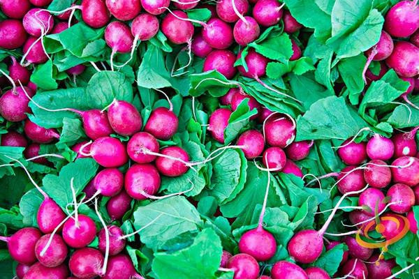 16 Crops To Plant NOW for Fall!