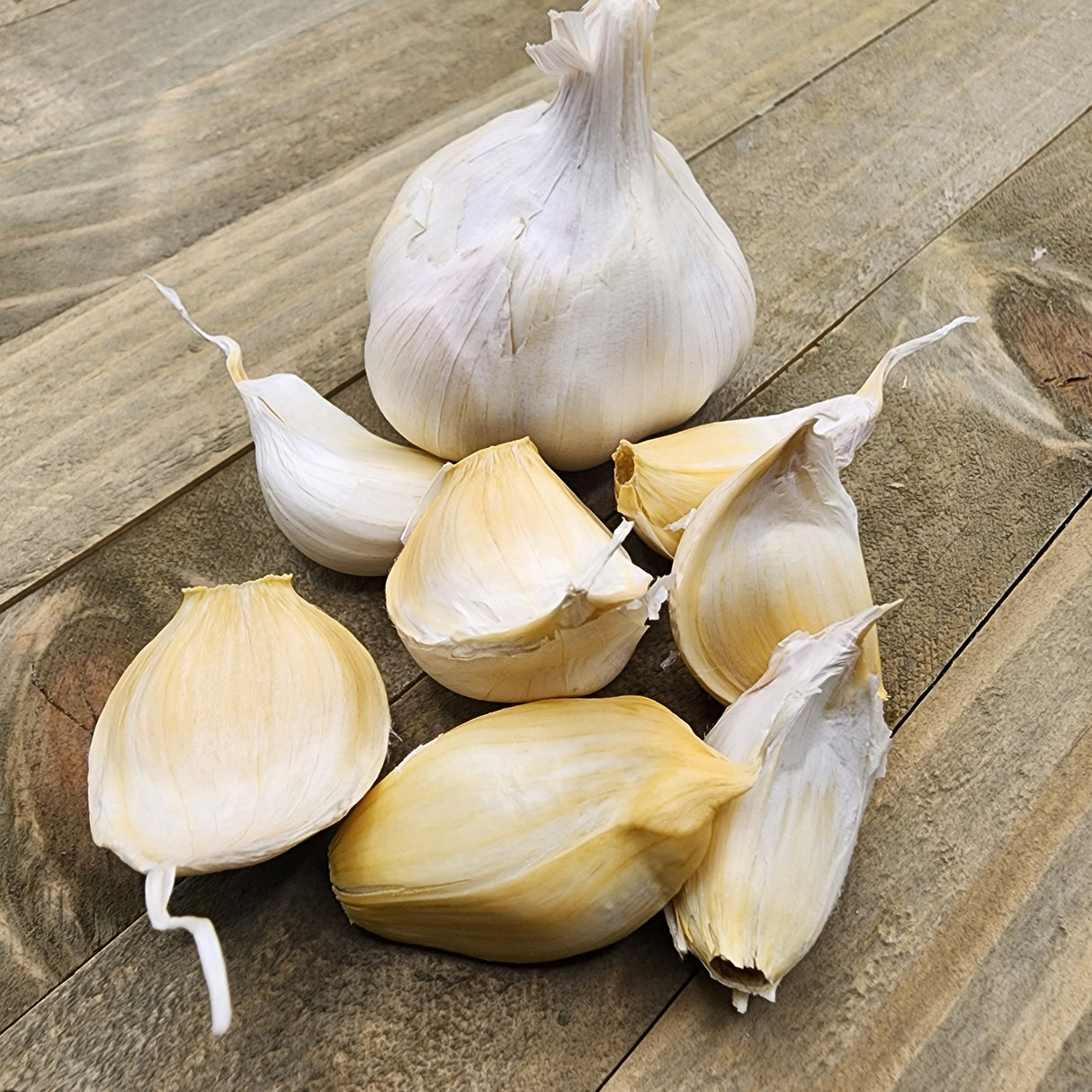 Garlic - (Soft Neck) Inchelium Red (Organic)