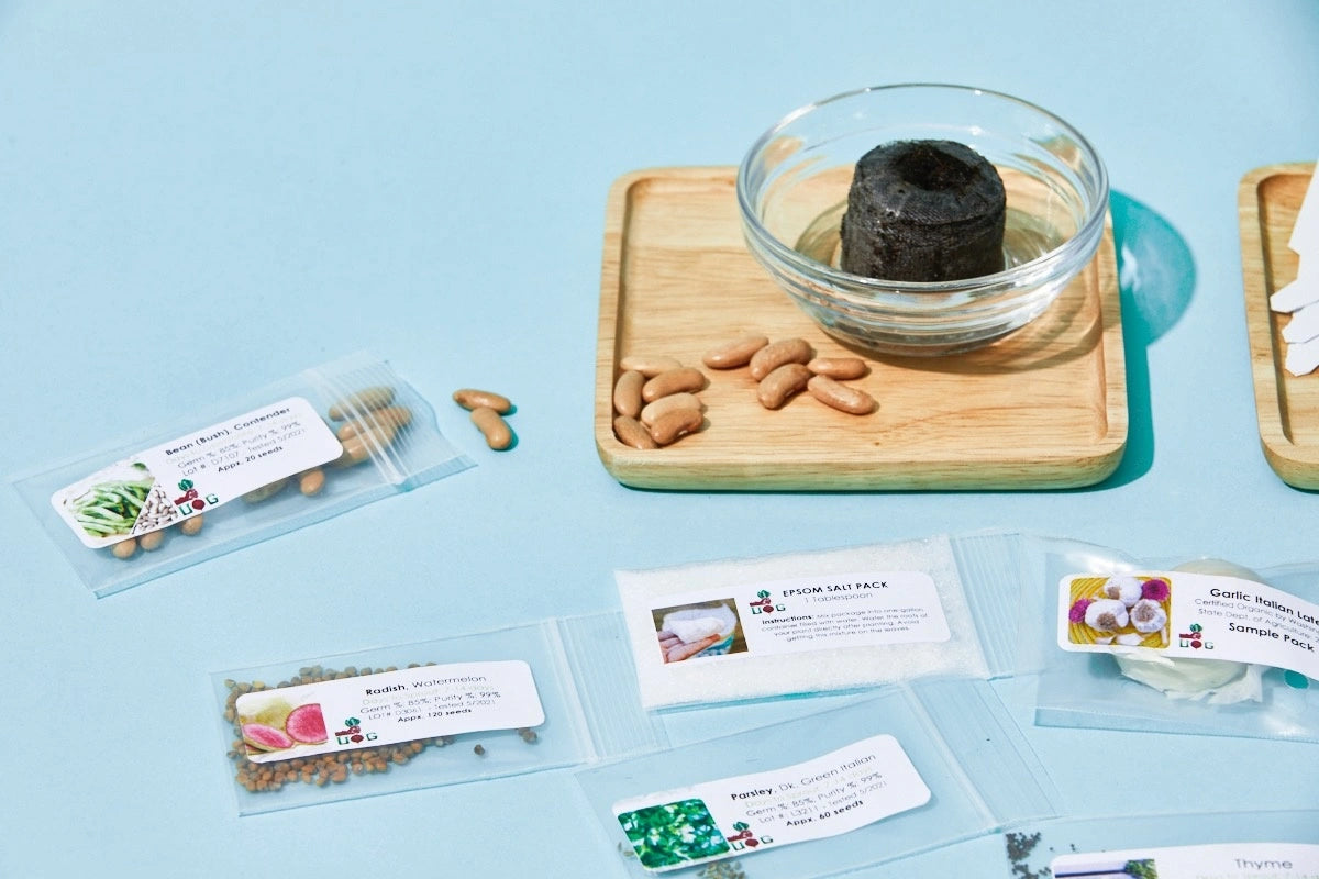 The Seed Club (BASIC PLAN)