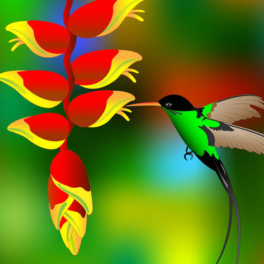 *New!* 50-in-One Complete Garden Abundance Seed Bank w/Seed Storage Vault