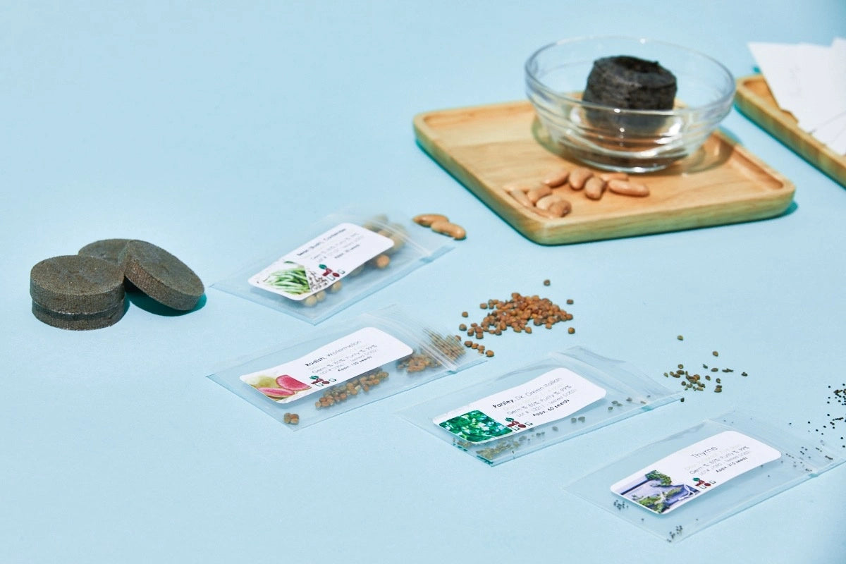 The Seed Club (BASIC PLAN)