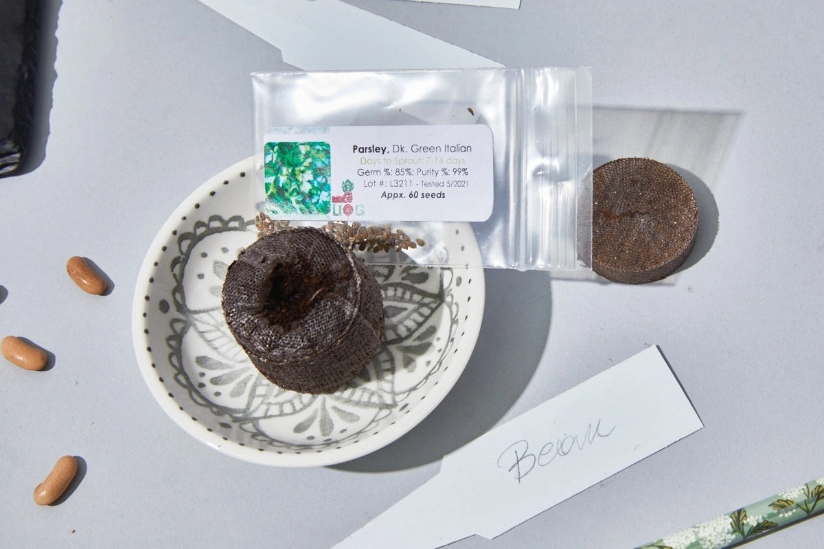 The Seed Club (BASIC PLAN)
