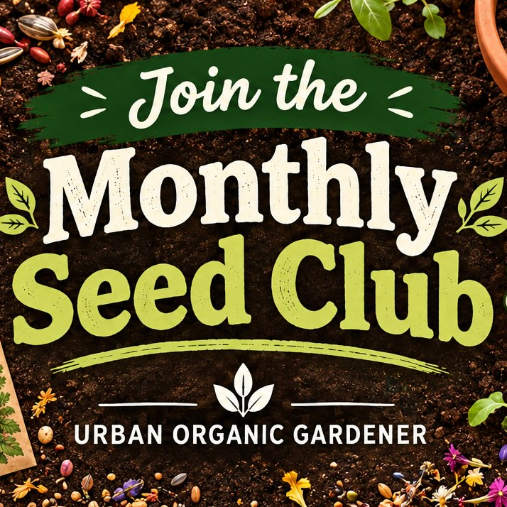 Seed Club - BASIC PLAN! (includes free shipping)