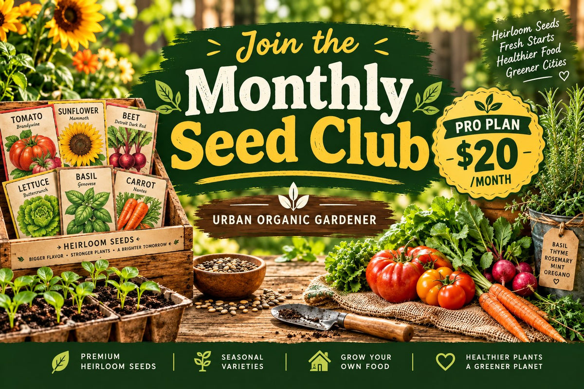 The Seed Club (PRO PLAN) 6 seed packs/month plus essentials