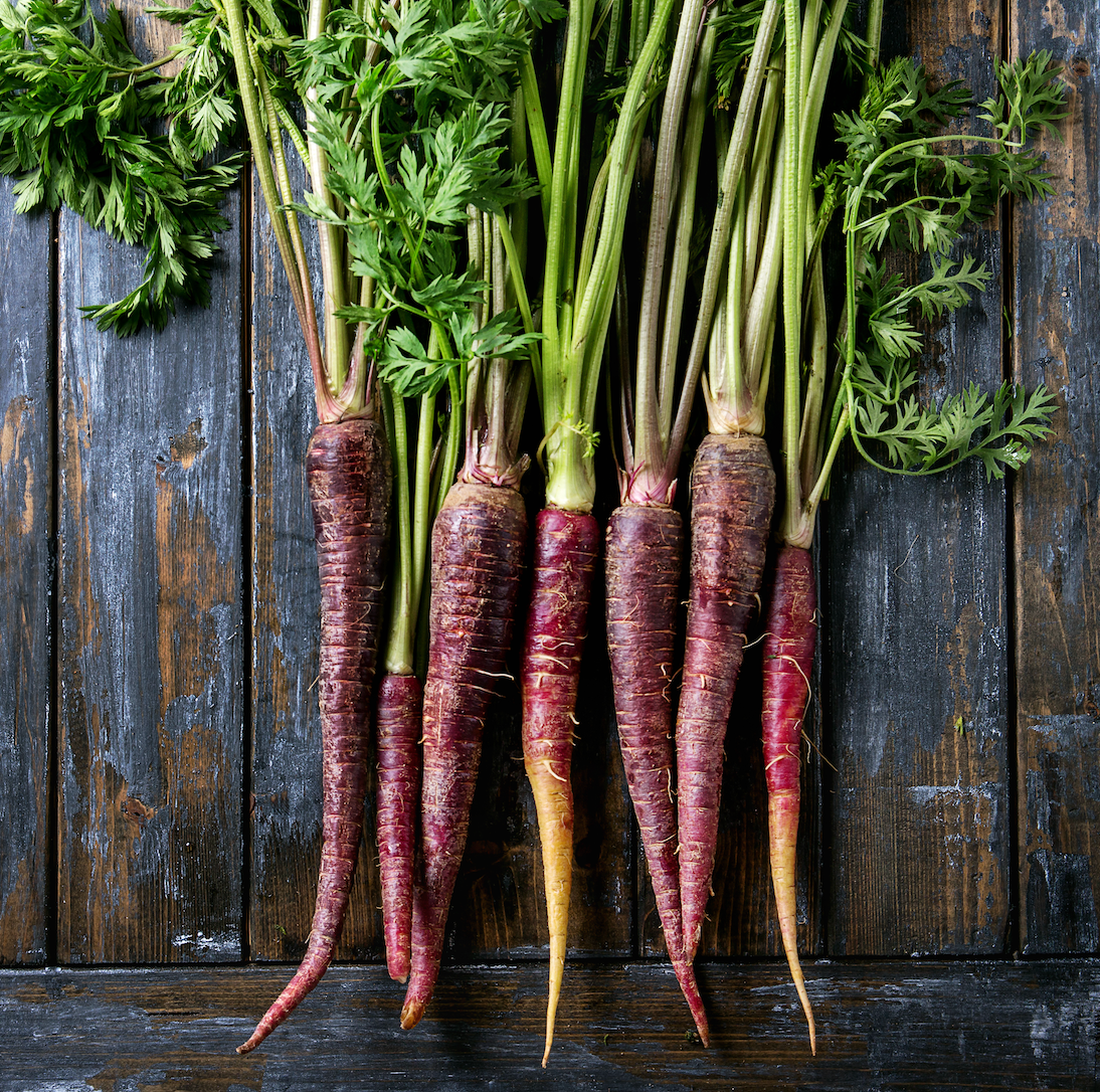 Shop for Purple Carrot seeds to order online from the USA. Vibrant purple 7" long carrots. Open-pollinated OP, USA-quality, Heirloom, NON-GMO organic seeds & more!