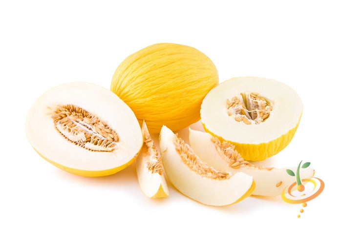 Amarillo Oro melon seeds from SeedsNow, showing vibrant yellow melon seeds on a white background.
