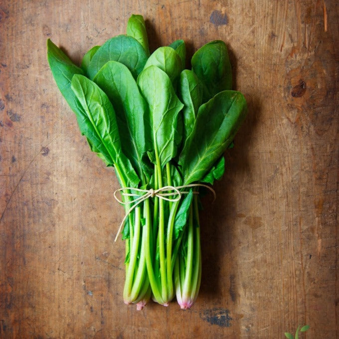 Fresh Bloomsdale spinach seeds by SeedsNow, showing vibrant green seed packets for planting spinach.