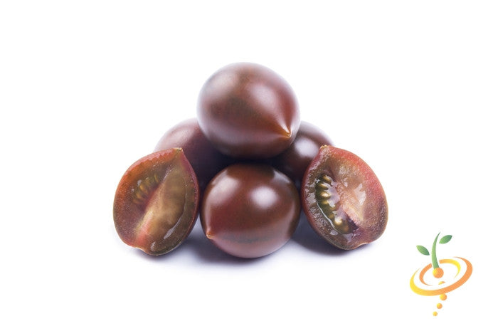 Black Cherry Tomato seeds from SeedsNow, indeterminate variety, showing vibrant ripe black cherry tomatoes on the vine.