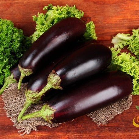 Buy Florida Market Eggplant seeds for sale online in the USA. Perfect for warm climates. Open-pollinated OP, USA-quality, Heirloom, NON-GMO organic seeds & more!