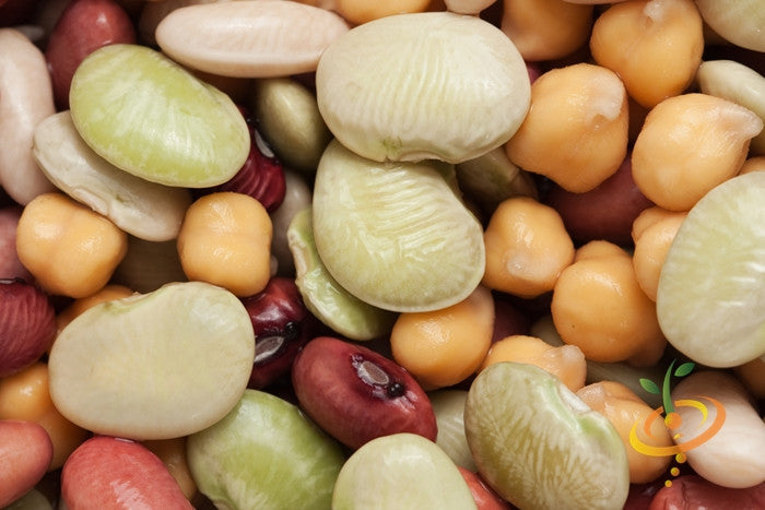 Close-up of King of the Garden lima beans and mixed legume seeds