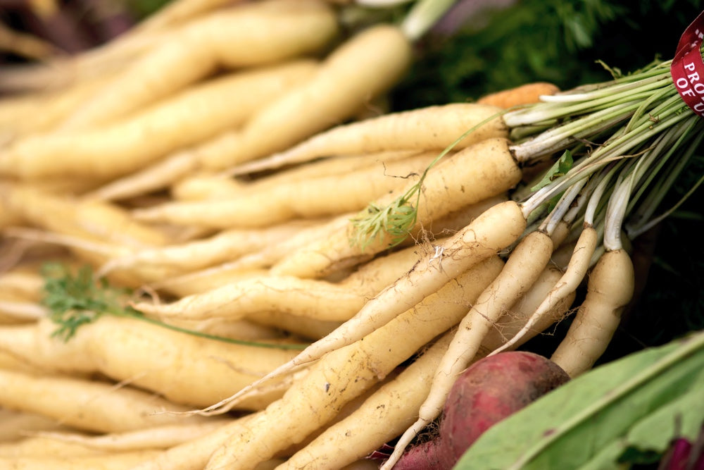 Lunar White carrot seeds by SeedsNow, 12-inch long orange carrots, fresh and healthy seeds for planting.