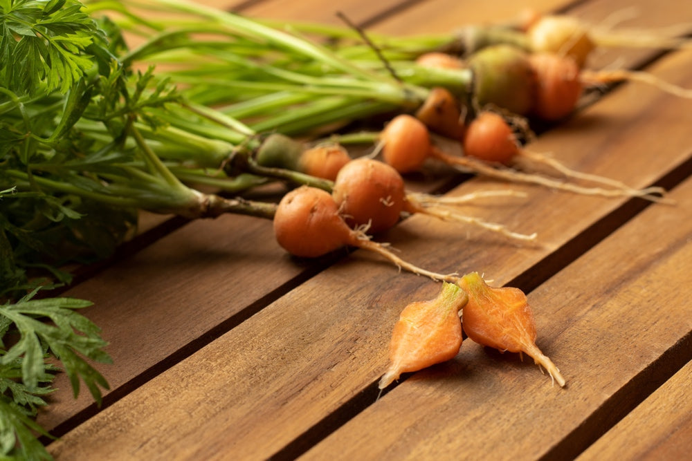 Fresh Carrot seeds from Paris Market brand, 2-inch round variety, ideal for planting in vegetable gardens.