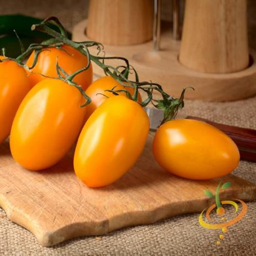Yellow pear-shaped indeterminate tomato seeds from SeedsNow, showing vibrant yellow tomatoes with a pear-like shape.