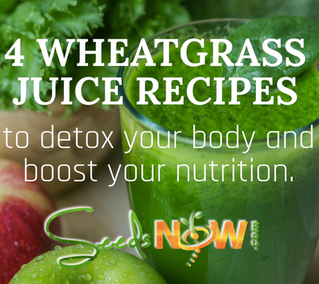 4 WHEATGRASS JUICE RECIPES to detox the body + boost nutrition. [INFO-GRAPHIC]