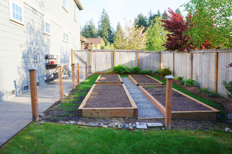 How to Grow Vegetables and Herbs in Partial Shade