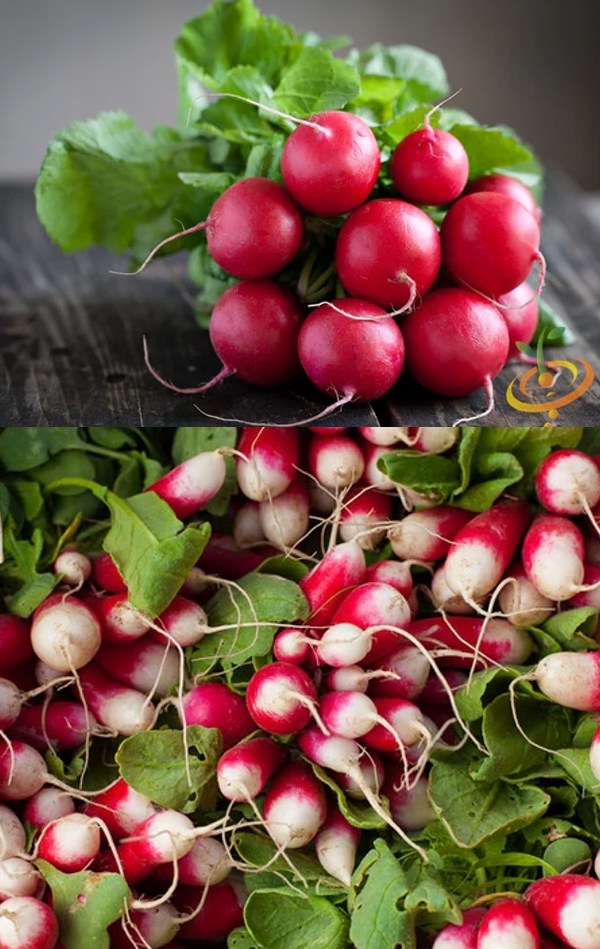 All Radish Seeds