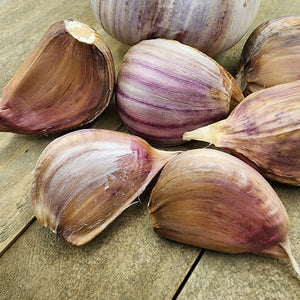 Garlic - (Hard Neck) Russian Red