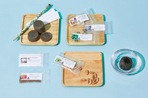 The Seed Club (BASIC PLAN)