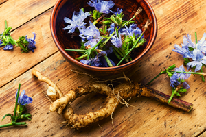 Chicory - Common seeds