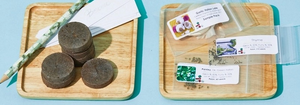 The Seed Club (BASIC PLAN)