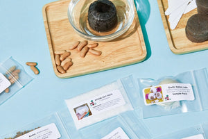 The Seed Club (BASIC PLAN)