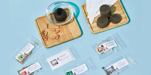 The Seed Club (BASIC PLAN)
