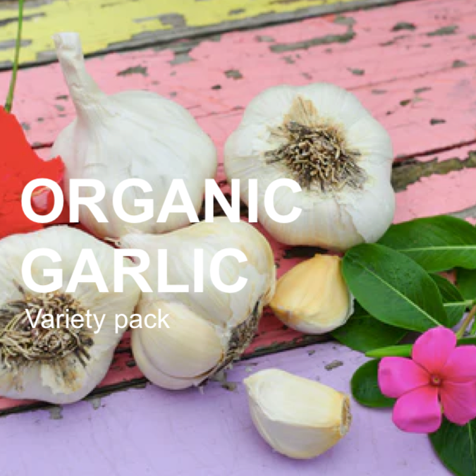 *NEW* All-in-One Garlic Garden Variety Pack