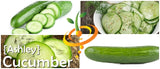 *FREE* Cucumber Seed Kit