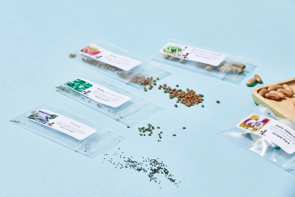 The Seed Club (BASIC PLAN)