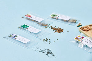 The Seed Club (BASIC PLAN)