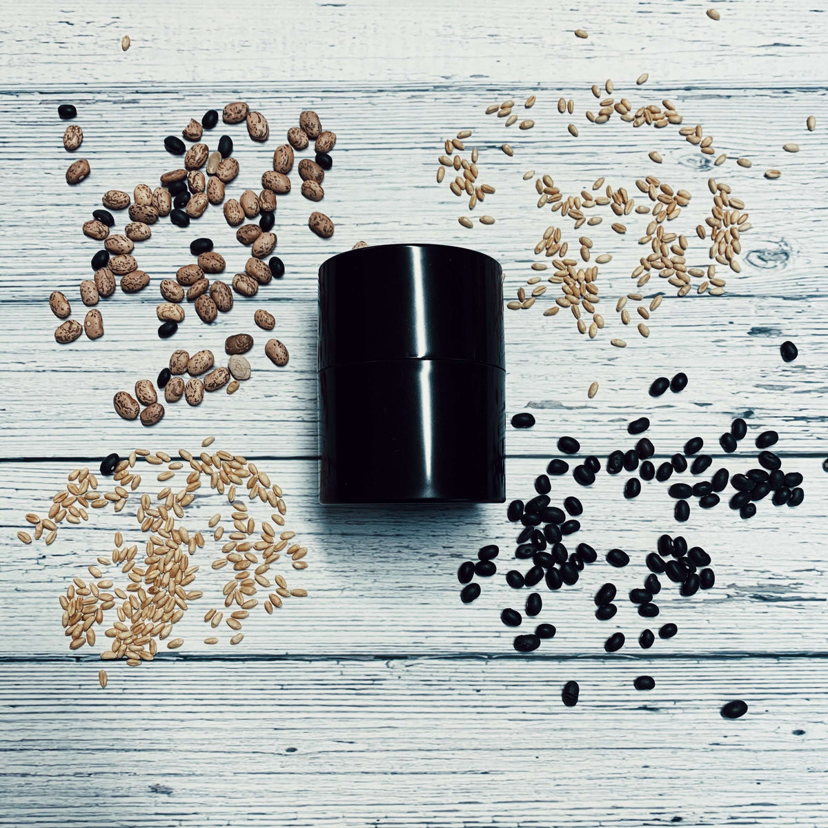 Extra-small black Seed Storage Vault surrounded by various seeds on a wooden surface