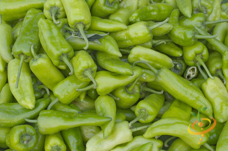 Anaheim chili hot pepper seeds from SeedsNow, showing vibrant green Anaheim peppers on a plant for gardening or planting.