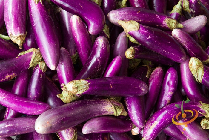 Eggplant - Long Purple Italian.