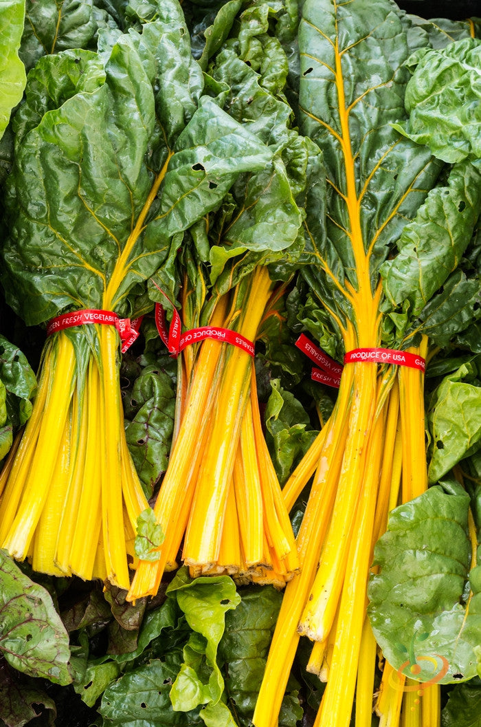 Swiss Chard - Orange.