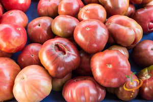 Tomato - Brandywine, Pink [INDETERMINATE].