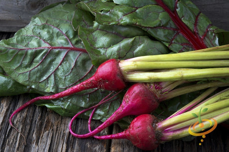 Chioggia beet seeds from SeedsNow, showing vibrant striped beet root and green foliage on a garden background.