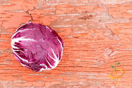 Red Radicchio seeds from SeedsNow, showing vibrant heirloom Italian chicory seeds for growing classic red radicchio.