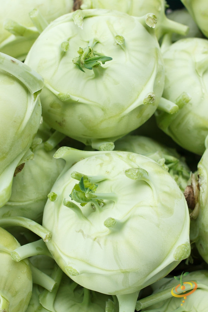 Kohlrabi - Delicatesse, White.