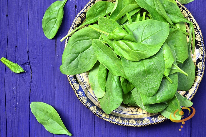 Spinach - Noble Giant.