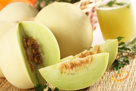 Green flesh honeydew melon seeds from SeedsNow, showing fresh, green-hued melon seeds on a neutral background.