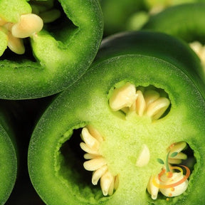 Close-up of fresh green jalapeño peppers on the plant, perfect for hot pepper gardening from SeedsNow.