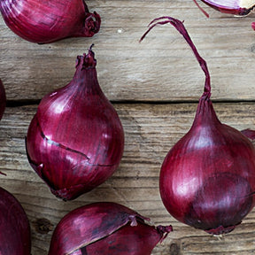 Red Wethersfield onion sets from SeedsNow, showing vibrant, healthy onion bulbs ready for planting.