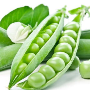Little Marvel pea seeds from SeedsNow, small green pea seeds ideal for planting and growing tender, sweet peas.