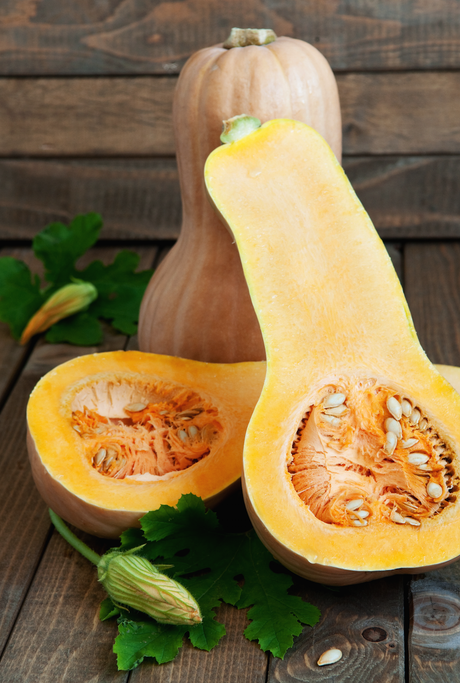 Waltham Butternut winter squash seeds from SeedsNow, showing vibrant orange squash illustration on seed packet.