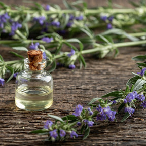 Hyssop seeds from SeedsNow, small dried hyssop flower and leaf seeds for planting and herbal use.