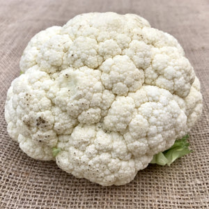 Cauliflower - Snowball - SeedsNow.com
