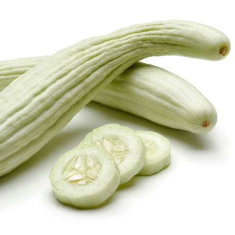 Cucumber - Armenian, White (Metki Serpent Melon) - SeedsNow.com